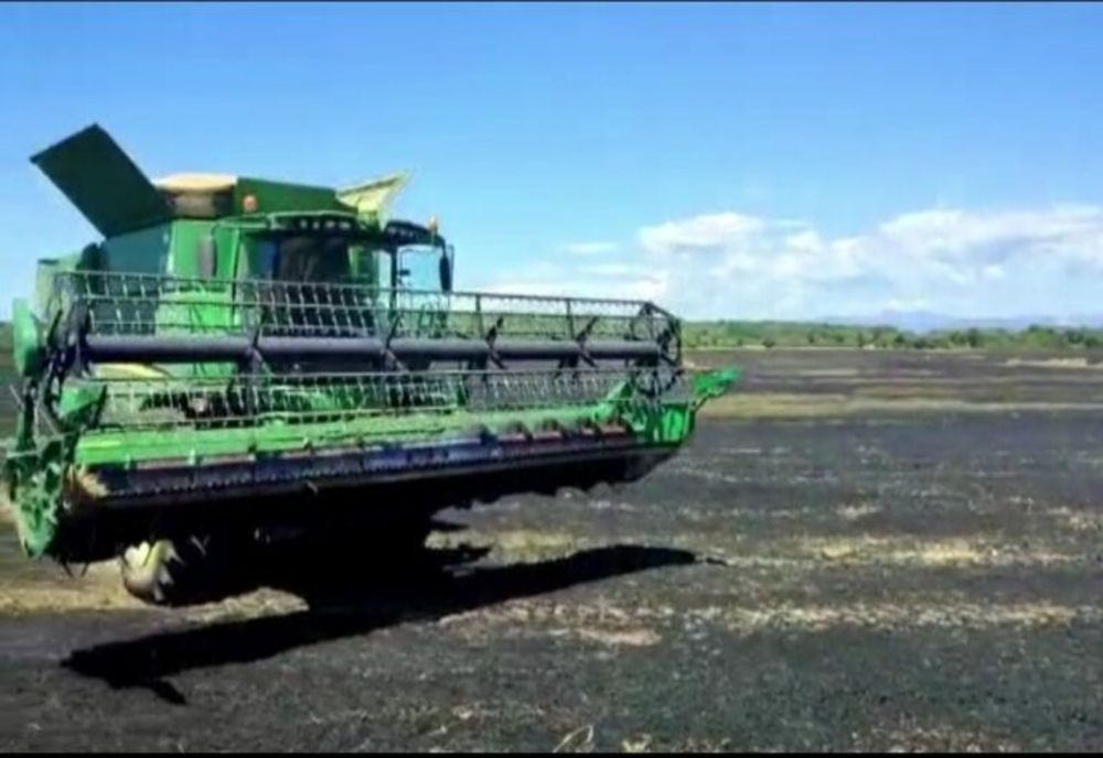 Dâmboviţa. Incendiu violent într-un lan de grâu pe o suprafaţă de 41 hectare