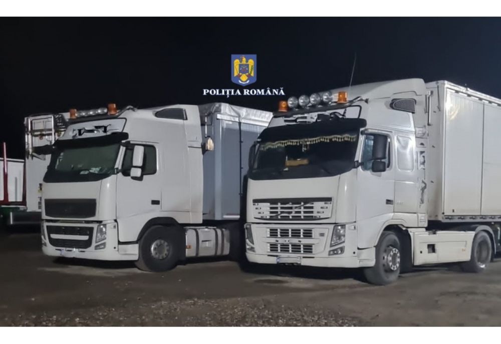 Percheziții de amploare în mai multe județe din țară la tăietorii ilegali de lemne! La acțiune participă și polițiști din Dâmbovița