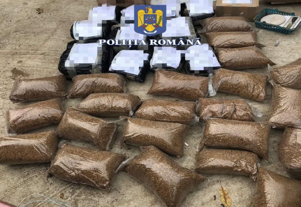 Percheziţii în Dâmboviţa la persoane bănuite de trafic de droguri