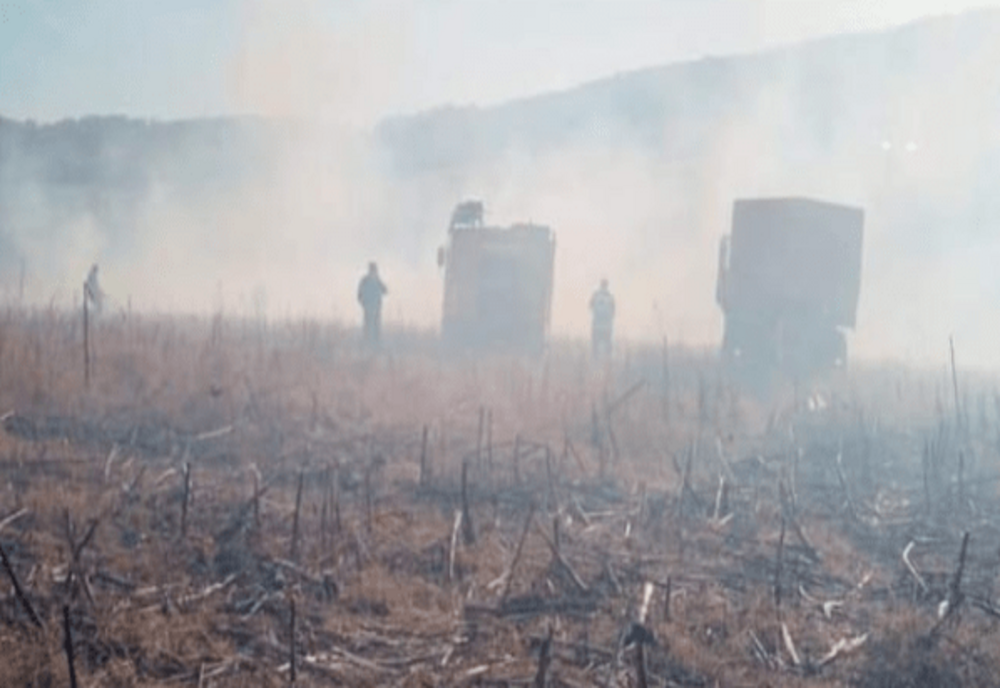Dâmbovița. Cultură de porumb făcută scrum la Odobeşti. Pompierii acţionează pentru stimgerea incendiului