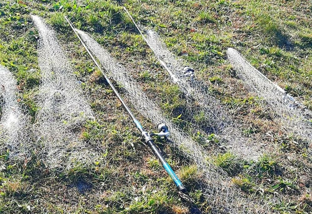 Dâmboviţa. Mai multe persoane care pescuiau ilegal, amendate de jandarmi 