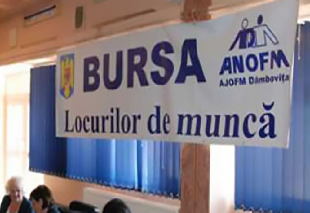 Dâmboviţa. S-au angajat 287 de persoane participante la Bursa locurilor de muncă pentru absolvenți