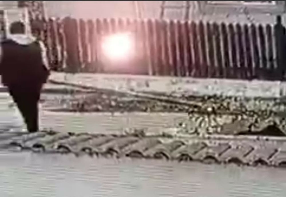 Dâmbovița. Un câine a fost bătut cu bestialitate de doi bărbați care ar mai fi avut probleme cu legea