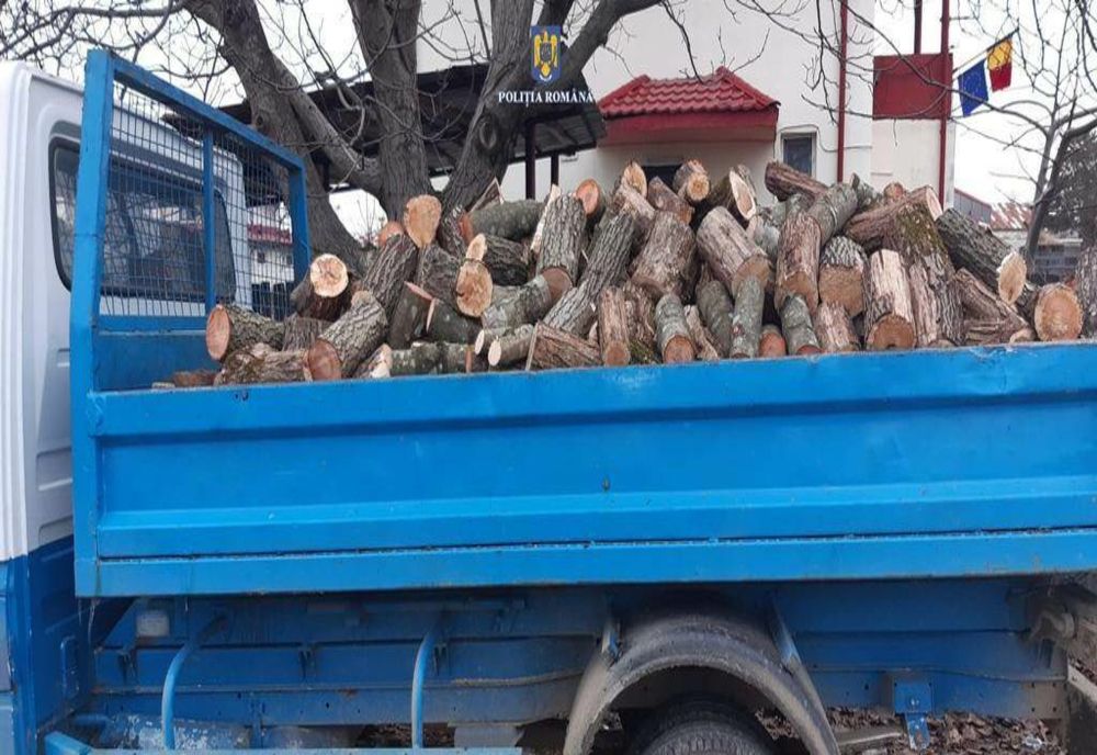 Acţiune a poliţiştilor dâmboviţeni pentru prevenirea delictelor silvice