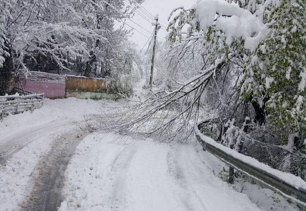 Copaci căzuți pe carosabil din cauza zăpezii, pe Valea Dâmboviței! Pompierii în alertă