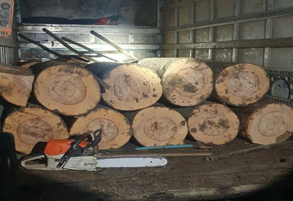 Dâmbovița. Bărbat depistat de poliţişti cu o autoutilitară plină de lemne, fără acte la ele