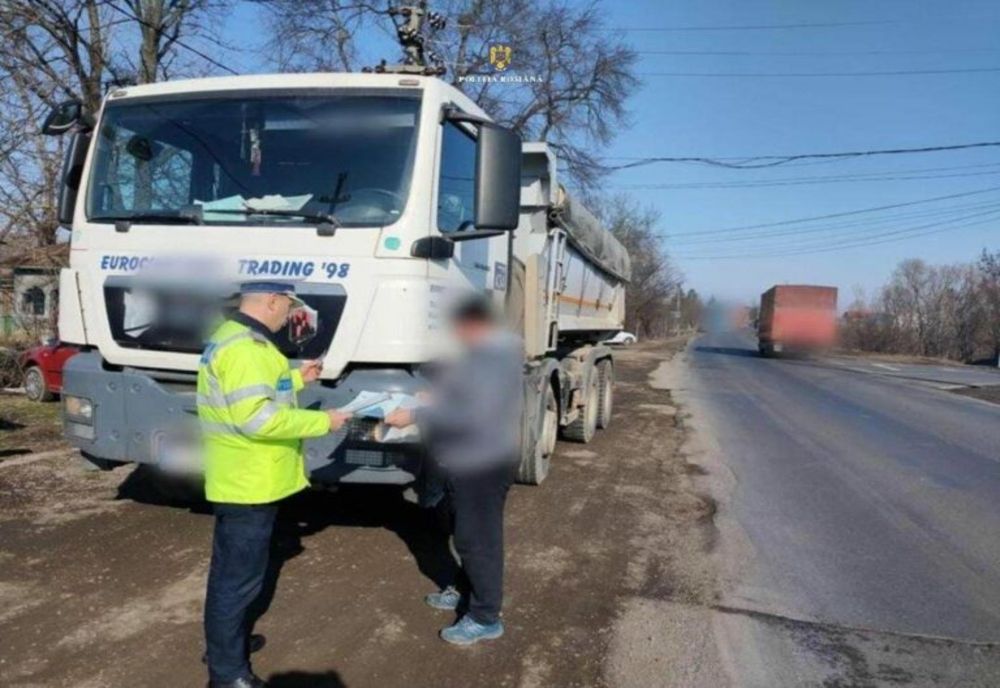 Dâmboviţa. Dosare penale pentru că au transportat lemne fără documente