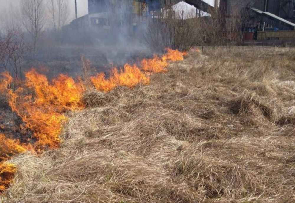 Incendiu de vegetație uscată în localitatea Dâmbovicioara 