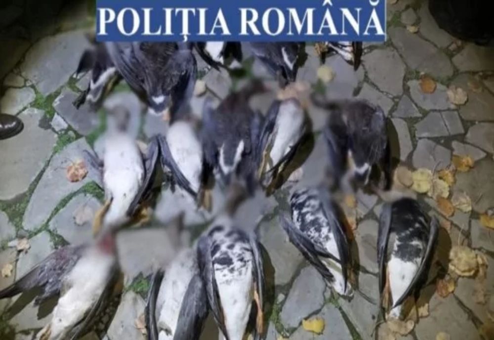 Dâmboviţa. Depistați pe un alt fond cinegetic decât cel pentru care erau autorizați să vâneze