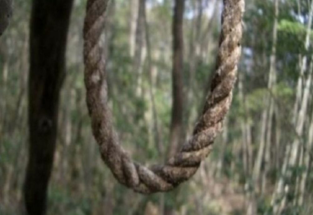 Dâmbovița. Bărbat dat dispărut de concubina acestuia, găsit spânzurat într-o pădure din Cobia