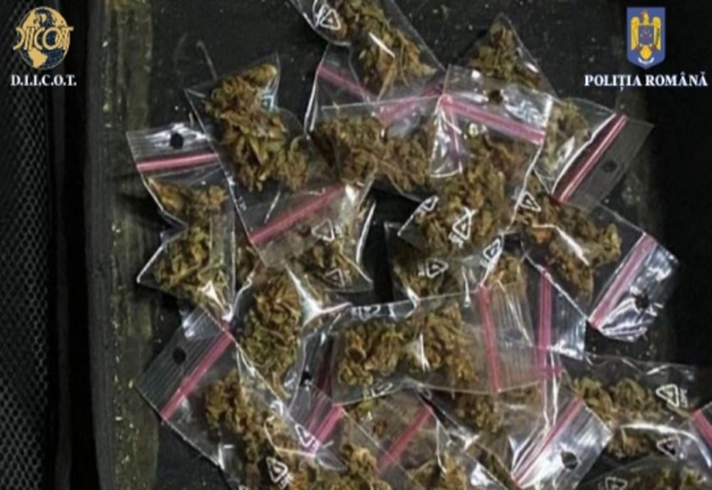 Dâmboviţa. Percheziţii de amploare la persoane bănuite de trafic de droguri