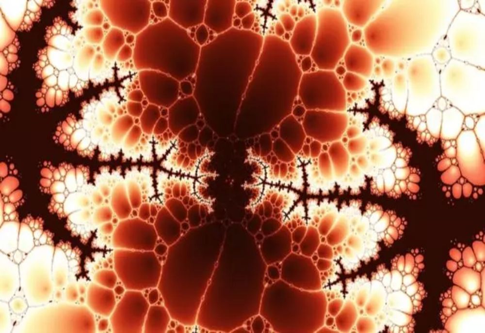 Bolnavii de cancer vor să dea în judecată Ministerul Sănătății din cauza planului anti-cancer. Acuzații grave aduse ministrului Rafila