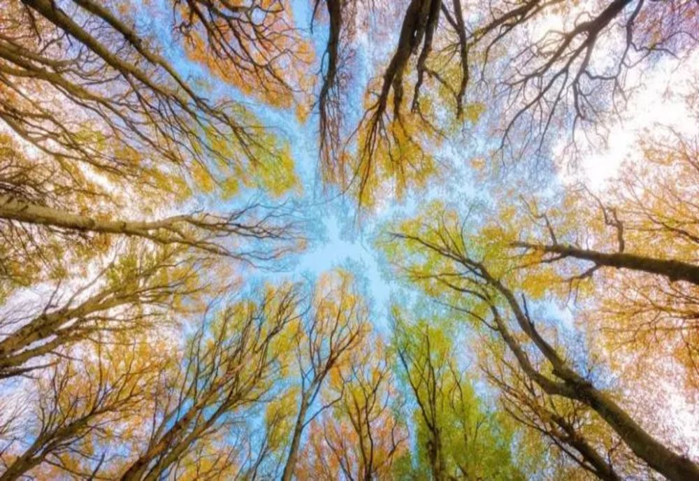 VREMEA 4 NOIEMBRIE. TEMPERATURI ÎN CREȘTERE ÎN MAJORITATEA REGIUNILOR