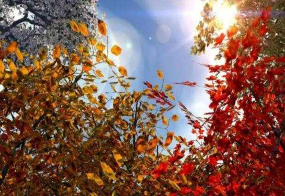 PROGNOZA METEO PÂNĂ ÎN PRIMA SĂPTĂMÂNĂ DIN DECEMBRIE, EMISĂ DE ANM