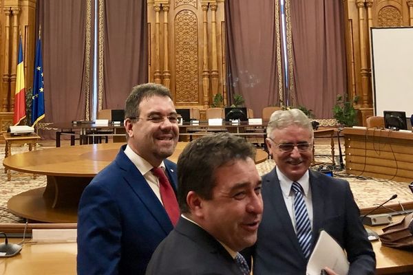 Leonardo Badea - aviz pozitiv, cu un vot de 39-21, pentru păstrarea funcției de șef al ASF