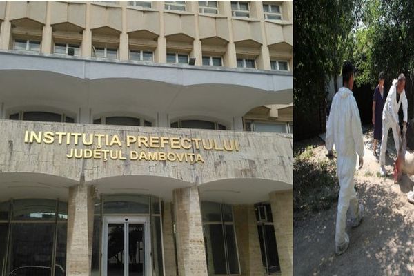 Au "stins" focarul de pestă porcină africană, de la Lucieni. Era singura zonă afectată de PPA,din Dâmbovița