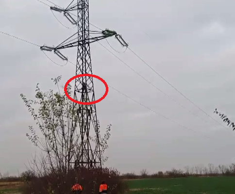 Supărat pe primar, un bărbat din Merișu s-a urcat pe un stâlp de curent