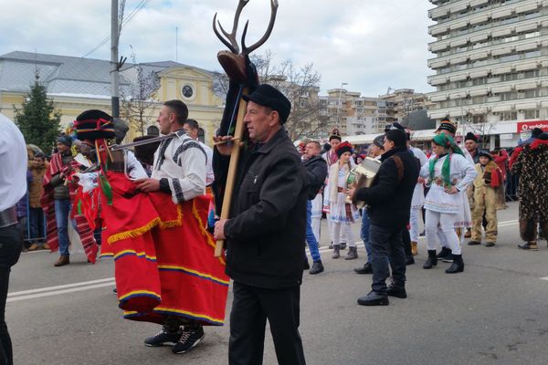 Arctic a început recrutarea pentru fabrica de la Ulmi
