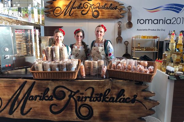 Foto| Ninsoarea și viscolul au făcut aproape imposibilă circulația auto, pe DJ 713