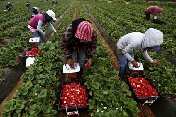 Locuri de muncă sunt! Doritori există?