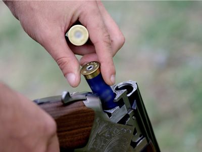 Un vânător a ucis „fără drept” un ciobănesc carpatin