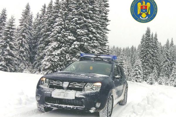 Jandarmii montani dâmbovițeni au ajutat două familii din Suceava, rămase blocate pe munte