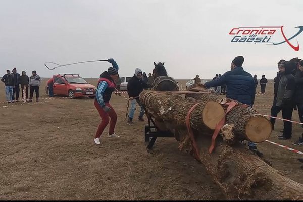 Dosar penal pentru trei bărbați din localitatea Vișina, după ce presa a arătat cum schingiuiau animale