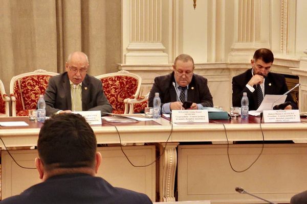 Senatorul Iancu Caracota, în Comisia pentru cercetarea abuzurilor, despre onorariile avocaților