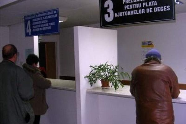 Pisicile au mâncat din stăpânul casei, mort de câteva zile