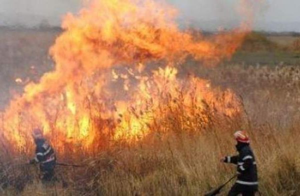 Semnalul pompierilor: ATENŢIE la incendiile de vegetaţie
