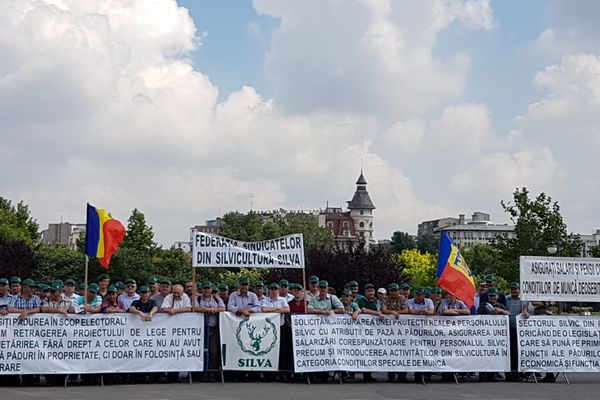 Silvicultorii cer, Camerei Deputaților, respingerea unei legi ce dă pădurile în proprietatea cultelor