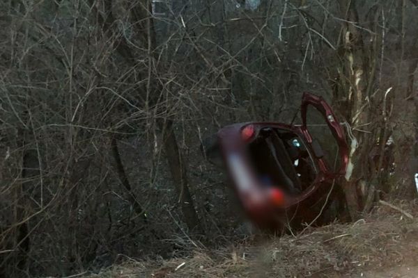 Accident spectaculos pe DN 71. S-a oprit în copacii de la marginea drumului