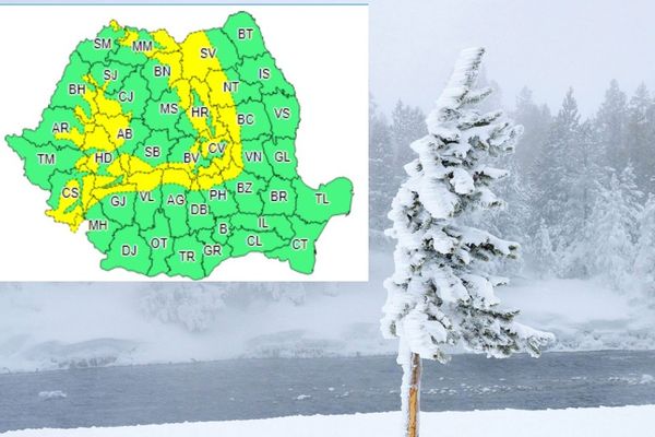 Cod galben de vânt, în zona montană dâmbovițeană