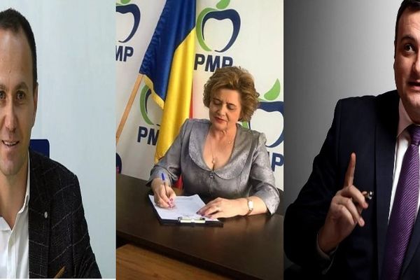 Trei dâmbovițeni, cu acte, pe listele partidelor la alegerile europarlamentare