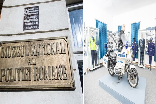 Ziua Poliției aniversată cu concursuri, gratuități și demonstrații ale mascaților,în Dâmbovița