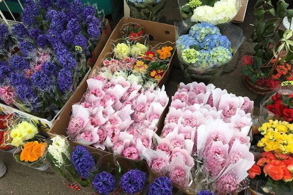 Zeci de amenzi și flori confiscate de la comercianți fără autorizație, la Târgoviște