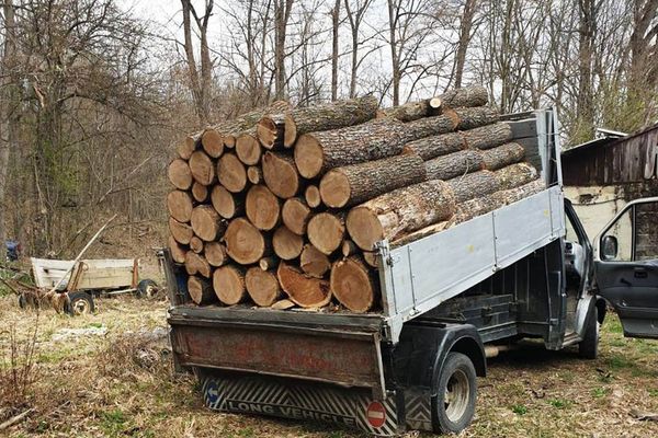 Argeșean amendat și lemn confiscat, pentru lipsă documente de proveniență material lemnos