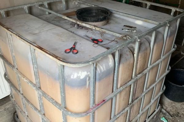 Urmărit internațional pentru "participație la organizație criminală", pus sub control judiciar