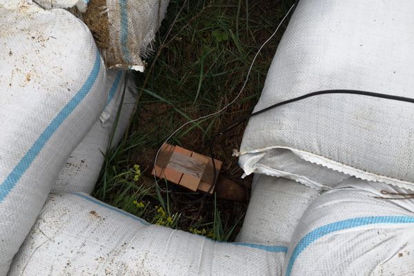 Coliziune între două mașini, cu o victimă rănită ușor, la Corbii Mari