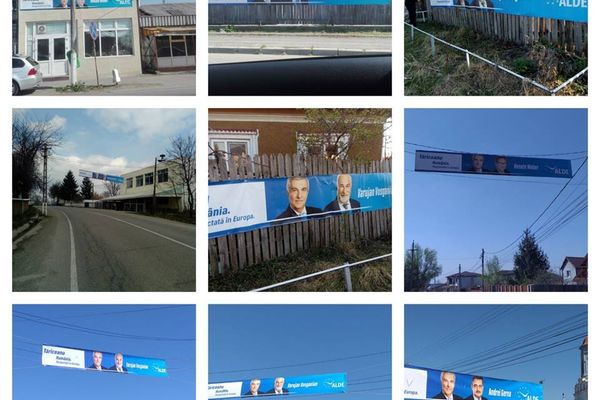 ALDE Dâmbovița a împânzit județul cu materiale electorale, cu două luni înainte de europarlamentare