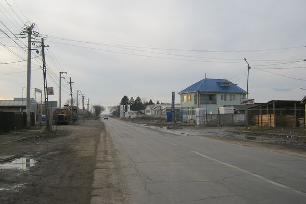 Operațiune în forță la societăți ce prelucrează material lemnos, pe centura Târgoviștei