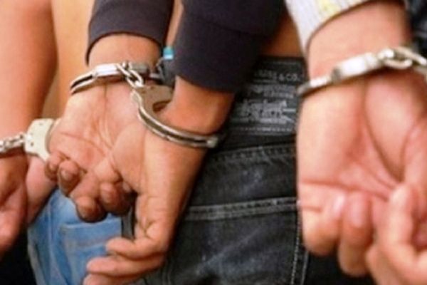 Hoții de porci, din Giurgiu, reținuți de polițiștii dâmbovițeni