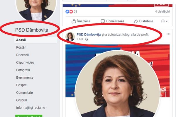 PSD Dâmbovița pune tabloul șefului pe toți "pereții", după modelul comunist