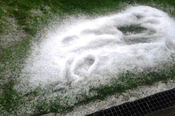 VIDEO Ploaie cu grindină în comuna Ocnița