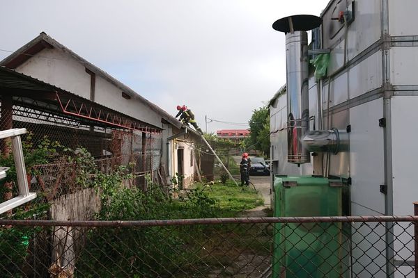 Alertă pe A1. Un camion stupină s-a răsturnat pe șosea