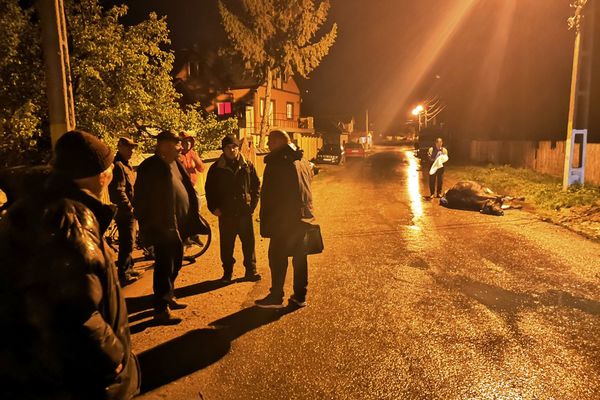 VIDEO Trei vaci, secerate de un arc electric produs la un cablu neasigurat. Două au scăpat însă una dintre ele a pierit sub ochii ciobanului