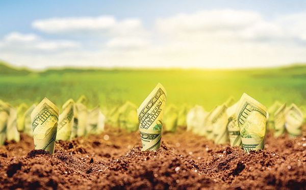 15 mai, termenul limită la care se pot depune cererile unice de plată pentru fermieri