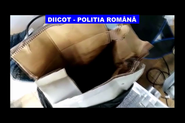VIDEO Rețea de traficanți de droguri destructurată în urma unor percheziții în Bucureşti şi Dâmboviţa