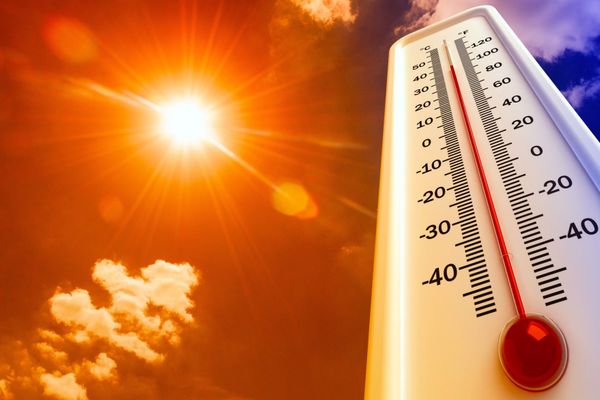 Obligațiile angajatorilor în perioadele caniculare