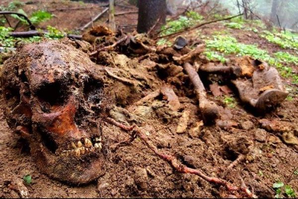 Craniu uman găsit pe munte, în timpul acţiunii de căutare a lui Andrei Haiduc